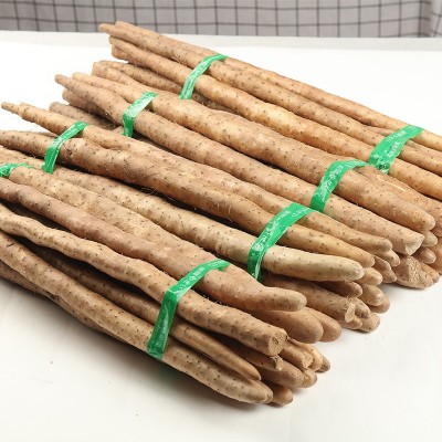 蠡县新鲜小白嘴山药当季蔬菜铁杆山药色淮山药铁棍山药图2