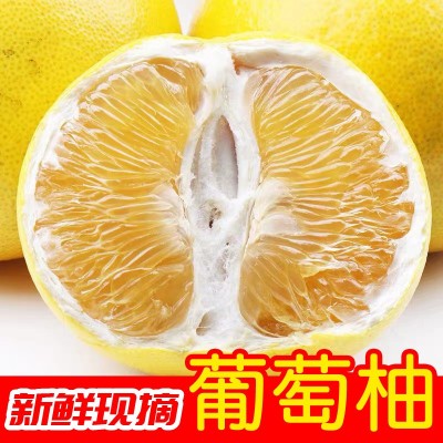 福建平和黄金葡萄柚当季新鲜整箱柚子红心柚水果礼盒装图5