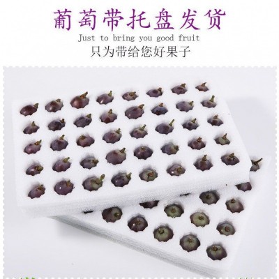 巨峰葡萄东北当季现摘新鲜多汁儿童孕妇水果整箱批发包邮非夏黑图3