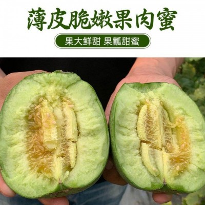 甜瓜现摘现发甜绿宝香瓜5斤新鲜水果应季脆绿宝石脆甜香甜厂家图2