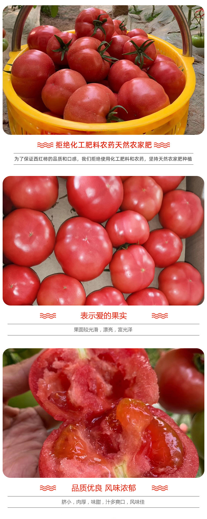 普罗旺斯_02