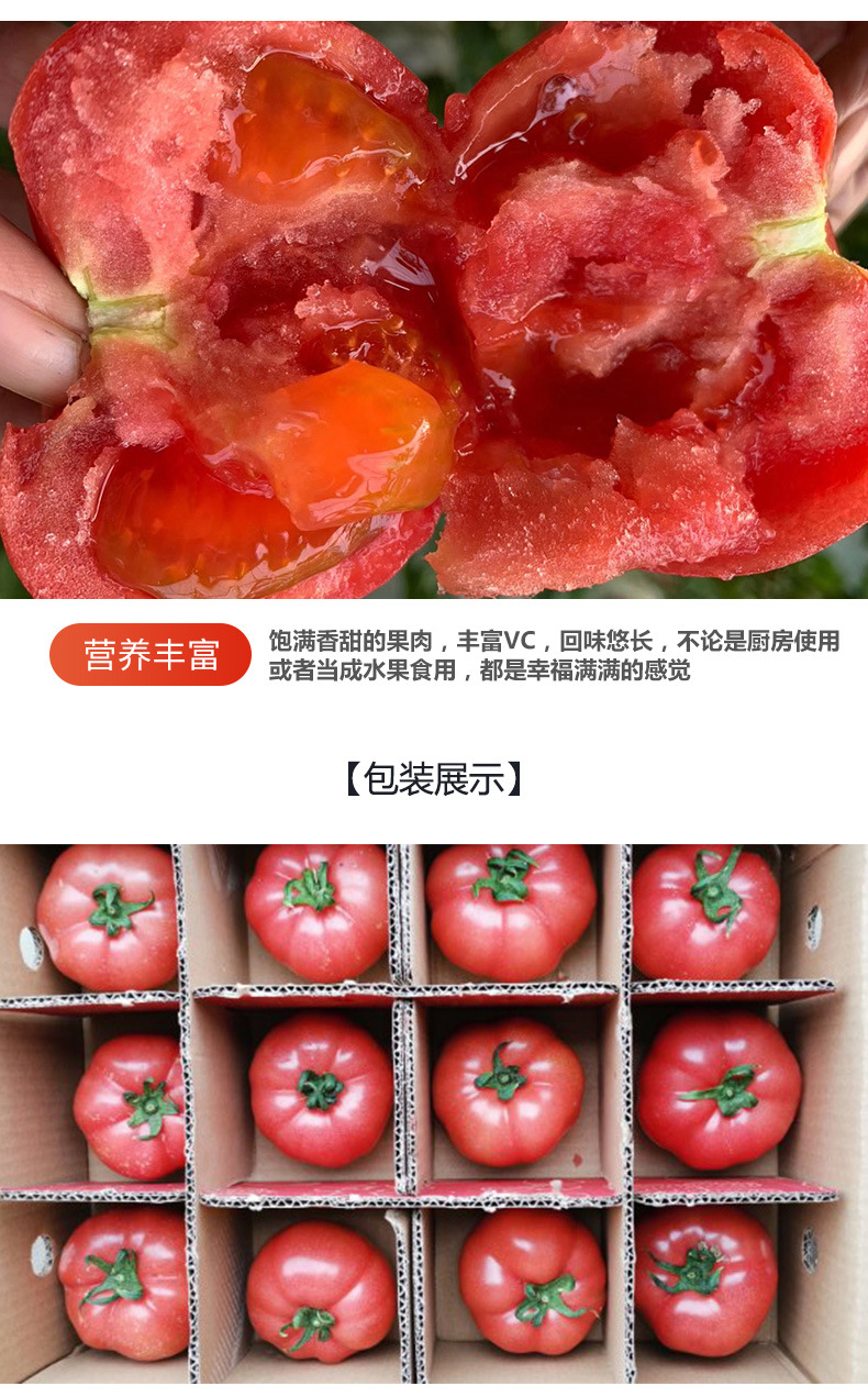普罗旺斯_04