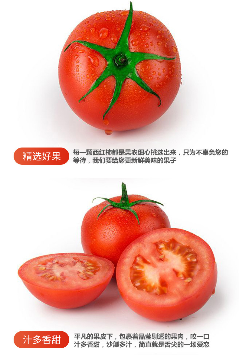 普罗旺斯_03