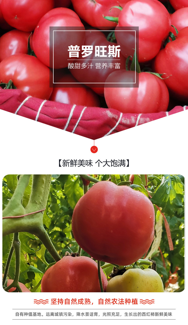普罗旺斯_01
