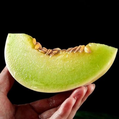 现货玉菇冰淇淋甜瓜现摘水果哈密瓜甜瓜一件代发图3