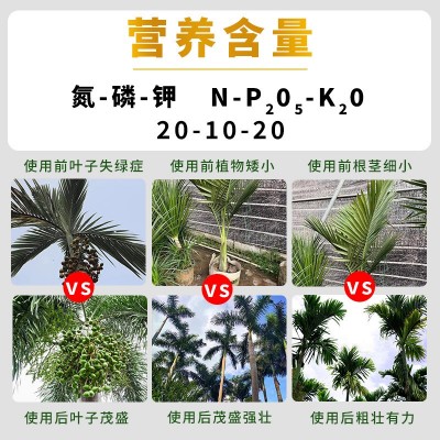 海南槟榔肥专用肥缓释肥防虫懒人肥大粒丸颗粒长效肥料厂家直销图4