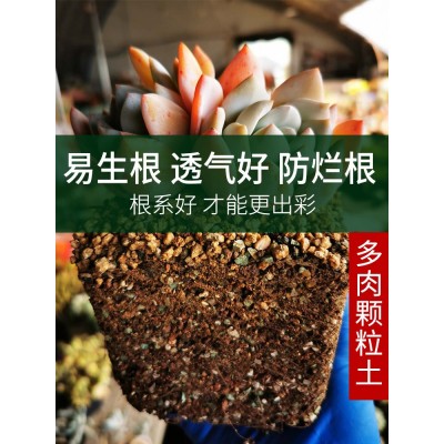 多肉土专用营养土肉肉颗粒土植物种植土铺面石叶插家用泥炭土大包图5
