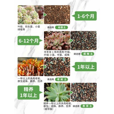 多肉土专用营养土肉肉颗粒土植物种植土铺面石叶插家用泥炭土大包图2
