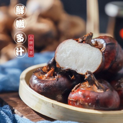 马蹄新鲜现挖种植基地直接批发广西荔浦马蹄荸荠农家自种图4