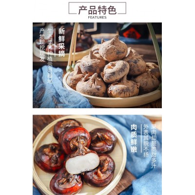 马蹄新鲜现挖种植基地直接批发广西荔浦马蹄荸荠农家自种图3