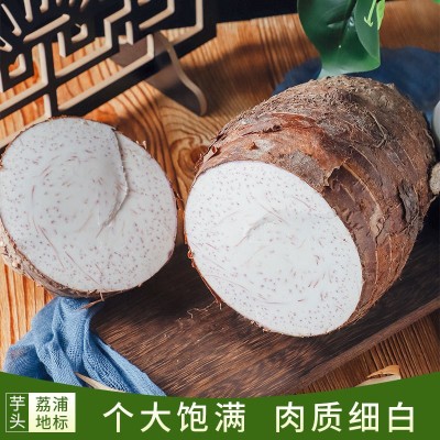 荔浦特产基地新鲜采挖有机蔬果荔浦特大芋头粉香糯9斤礼盒装图2