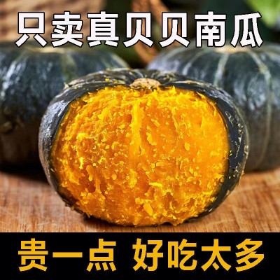 山东正宗贝贝南瓜电商一件代发 板栗新鲜日本瓜批发礼盒装 供应链图3