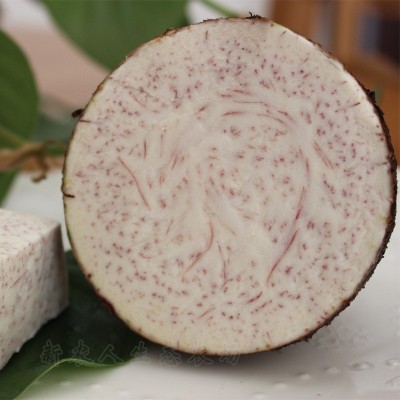 广西荔浦新鲜大芋头正宗现挖粉糯香芋5斤槟榔芋艿紫藤毛芋5斤包邮图2