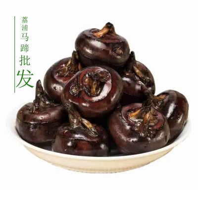 广西桂林特产荔浦马蹄脆甜无渣荸荠中果图2