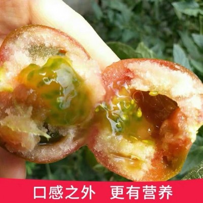 巧克力西红柿新鲜寿光草莓黑番茄沙瓤水果柿子当季果蔬现摘现发图4