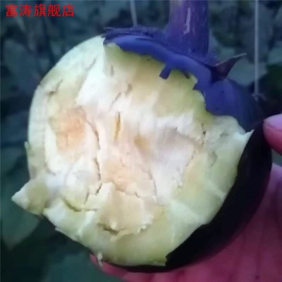 圆茄子5斤 山东新鲜农家时令薄皮现摘圆茄子批发孕妇儿童蔬菜包邮图3