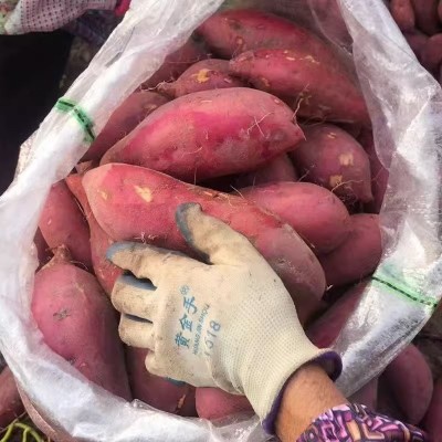 新鲜红薯整箱10斤包邮农家香甜地瓜农家自种沙地蜜薯板栗小番薯
