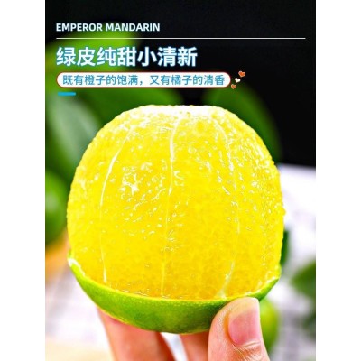 老树大果 9斤广西皇帝柑新鲜水果现摘当季时令水果包邮尝鲜图3