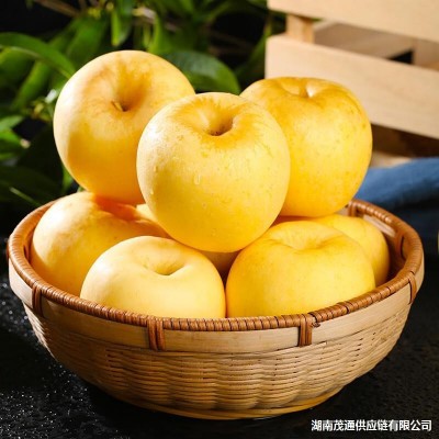 山东维纳斯黄金苹果5斤新鲜水果当季整箱脆甜多汁非富士奶油苹果图2