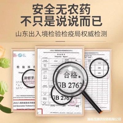 山东维纳斯黄金苹果5斤新鲜水果当季整箱脆甜多汁非富士奶油苹果图3
