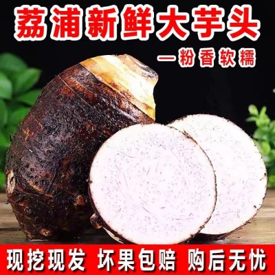广西荔浦新鲜芋头香芋10斤正宗小芋头旗舰店槟榔芋毛芋艿蔬菜包邮图2