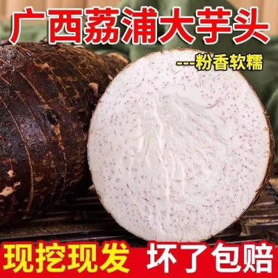 广西荔浦新鲜芋头香芋10斤正宗小芋头旗舰店槟榔芋毛芋艿蔬菜包邮图3