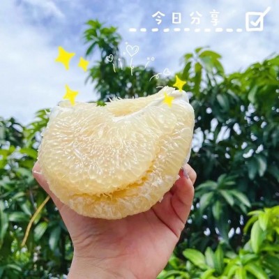 云南蜜柚大果青柚傣柚青柚新鲜青皮白心蜜柚当季水果一件代发图2