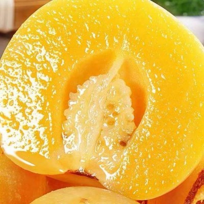 树上熟人参果圆果甜云南石林黄心肉人生果新鲜应季水果一件代发图2