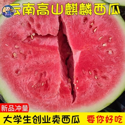 云南高山美都麒麟西瓜水果新鲜当季冰糖麒麟瓜沙瓤包甜麒麟小西瓜图3