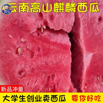 云南高山美都麒麟西瓜水果新鲜当季冰糖麒麟瓜沙瓤包甜麒麟小西瓜图4