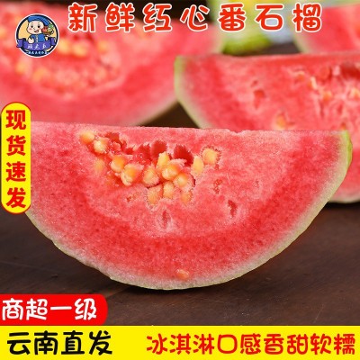 云南软糯芭乐番石榴当季新鲜水果整箱奶油潘蕃胭脂红色巴乐果现货图3