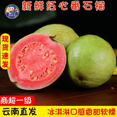 云南软糯芭乐番石榴当季新鲜水果整箱奶油潘蕃胭脂红色巴乐果现货图2