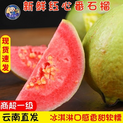 云南软糯芭乐番石榴当季新鲜水果整箱奶油潘蕃胭脂红色巴乐果现货图4