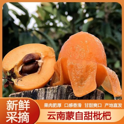 现货云南蒙自枇杷新鲜水果高山枇杷当季枇杷果琵琶整箱3-5斤