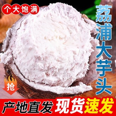 广西荔浦大芋头正宗香芋新鲜蔬菜槟榔芋头香糯软糯批发图2