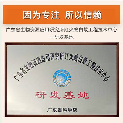 杀蚂蚁药除黑黄蚂蚁室内外非无毒家用全窝一窝神器端灭蚁饵剂批发图3