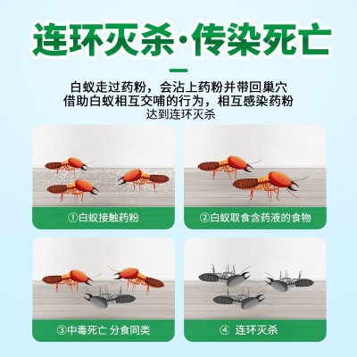 康宇灭白蚁药粉批发白蚁防治专用装修防白蚁家用一全窝传染杀虫剂图3