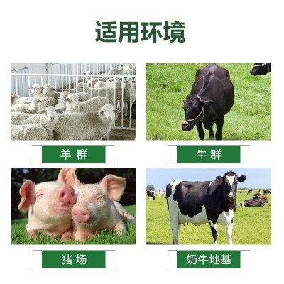 康宇灭蚊蝇畜牧杀虫剂猪牛羊用室内室外苍蝇药养殖场大面积除虫图3