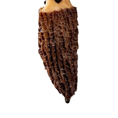 干菌一件代发规格批发厂家羊肚菌干货云南原产地批发价羊肚菌便宜图5