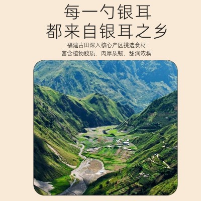 正宗古田银耳新鲜干货无硫丑耳 银耳莲子羹食用菌菇雪耳散装批发图3