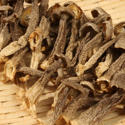 鹿茸菇云南菌菇厂家产地源头鹿茸菌批发 食用菌菇蘑菇散装干货图2