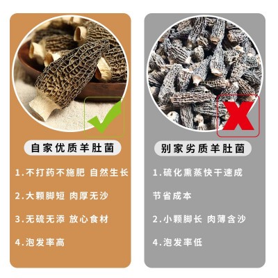 羊肚菌干货云南大个菌菇汤包料 菌菇干货批发可代发蘑菇食用菌图4
