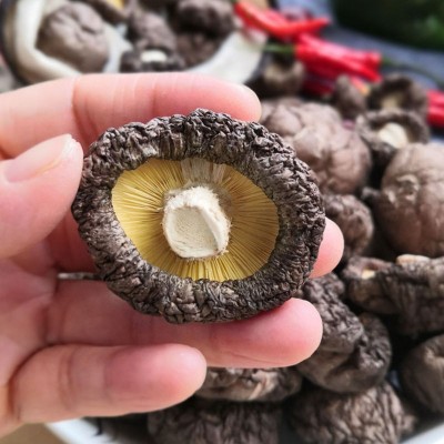 香菇干货野生冬菇菌菇香菇干蘑菇珍珠小香菇山珍煲汤食用菌批发图3