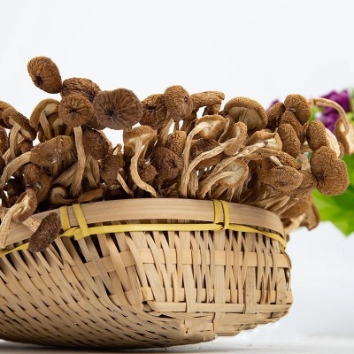 茶树菇干货批发炖汤新货新鲜无硫不开伞2023年煲汤炖非毛重纯净重图4