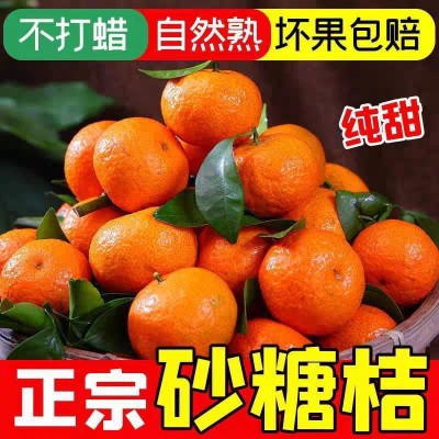 沙糖桔砂糖橘广西金秋新鲜现摘应季水果蜜桔批发工厂批发网红现货图4