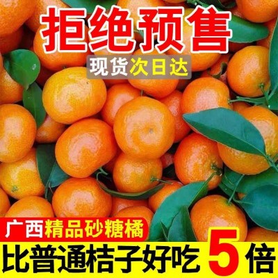 沙糖桔砂糖橘广西金秋新鲜现摘应季水果蜜桔批发工厂批发网红现货图2