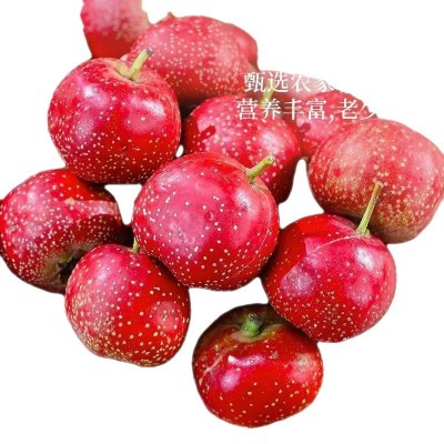 山楂果新鲜鲜大批发山里红果鲜水果糖葫芦农现摘现发量大从优包邮图5