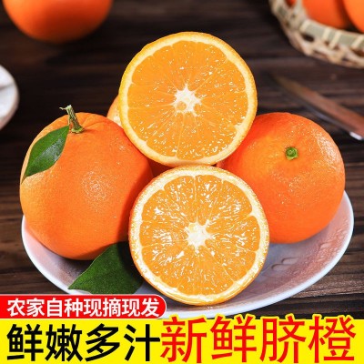 脐橙橙子当季新鲜夏橙手剥甜橙孕妇水果批发价非冰糖橙赣南的网红图4