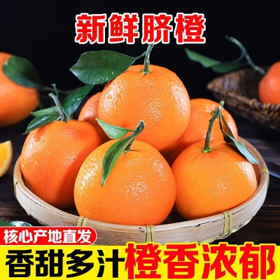 脐橙橙子当季新鲜夏橙手剥甜橙孕妇水果批发价非冰糖橙赣南的网红图3