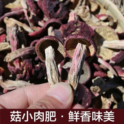 红菇批发新货福建特产武夷山野生红菌驱寒干货煲汤滋补食用菌批发图3